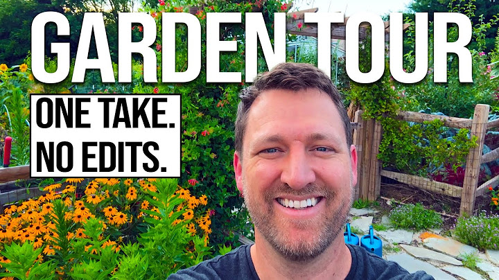 Honest July Garden Tour 🌻 What's Working...What's Not