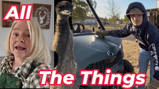 All The Things || Tag Teaming on Projects & How to Build a Wall