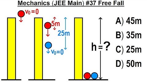 JEE Main Physics Mechanics #37 Free Fall