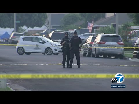Placentia stabbing: Father allegedly kills his 2 young daughters in apparent murder suicide | ABC7