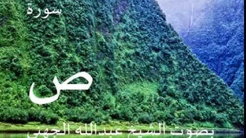 سورة ص بصوت الشيخ/ عبدالله الجهني 38