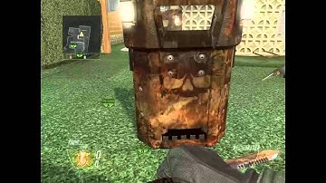 Black Ops 2 Assault Shield Trick