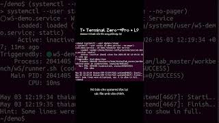 T• daemon-reload: sửa service xong phải nạp lại | L9 (Terminal Zero→Pro)