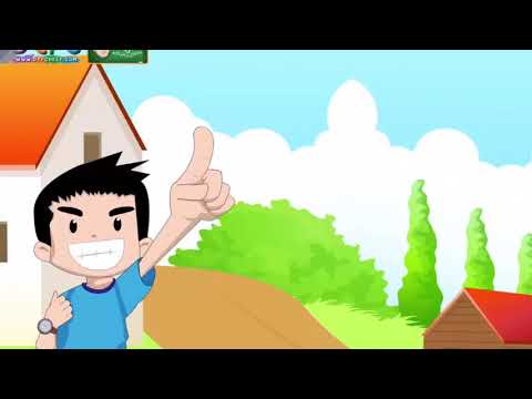 โครงสร้างและหน้าที่ระบบย่อยอาหาร
