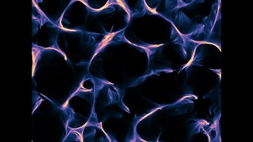 [Houdini] Physarum Slime Mold