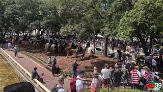 Over 10,000 join peaceful ‘No Kings’ protest in Houston