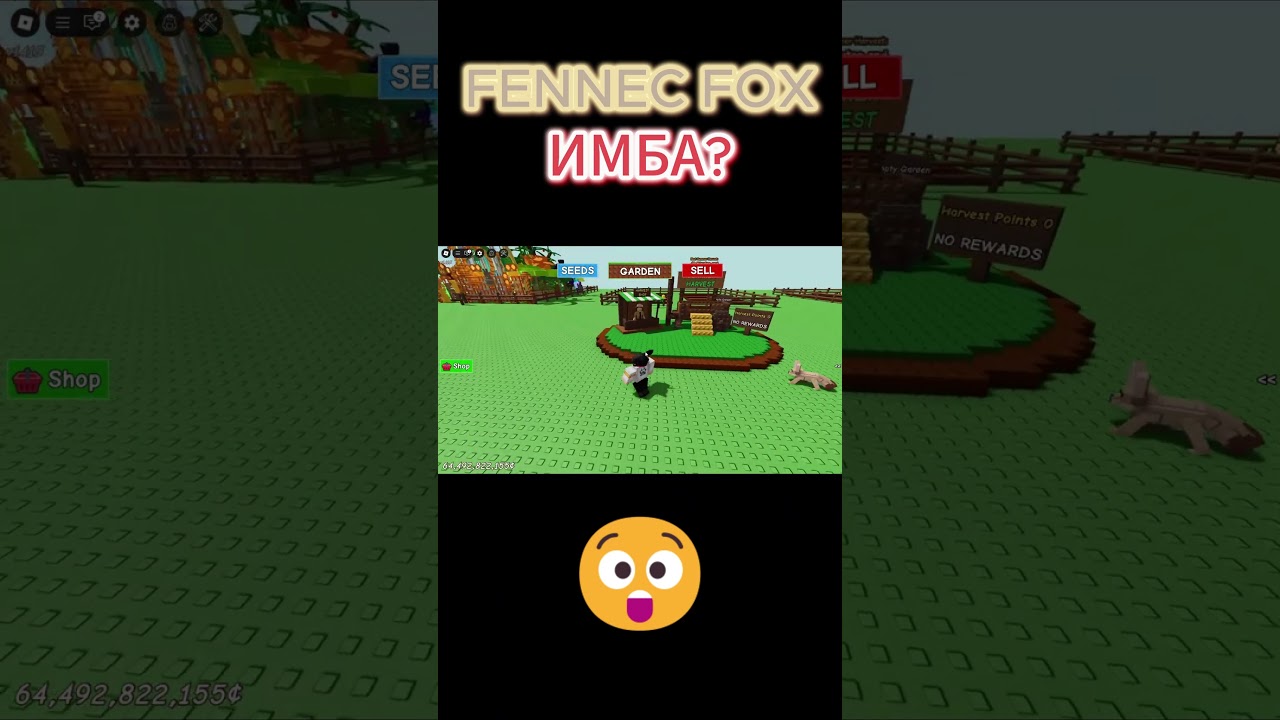 FENNEC FOX в Вырасти Сад ИМБА?! 