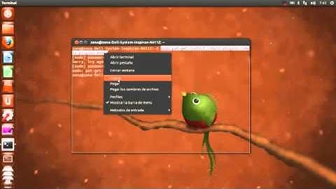 Como instalar compiz en Ubuntu 12.10 + extras