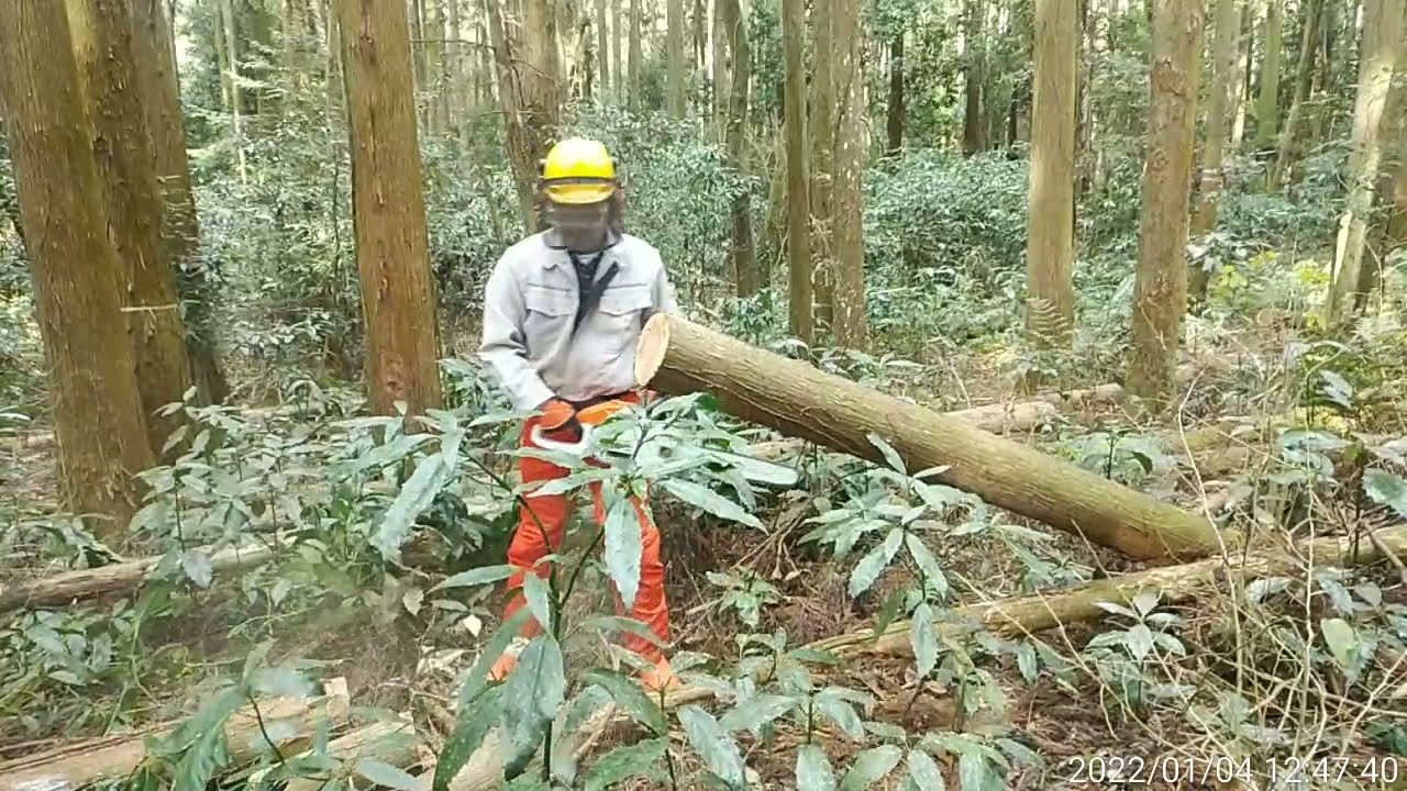 玉切り （薪用）（3） 2022正月 MS 201 C-M - YouTube
