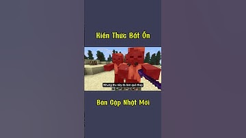 Bản Cập Nhật Mới Trong Minecraft #shorts