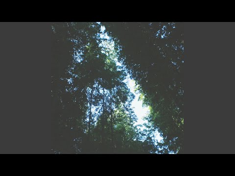 Watch Summer Spent on YouTube Watch Summer Spent on YouTube