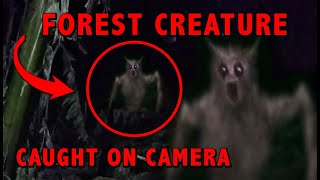 WEIRD CREATURE in Forest Caught on Camera