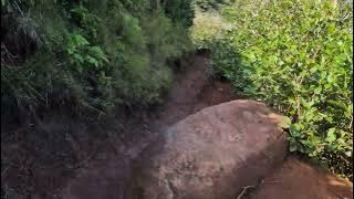 Descending Sleeping Giant from ~900', Wailua, Kauai, Hawaii, 2024-01-25