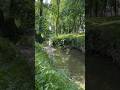 Pamplona🍀España🌱nature and river🦆🌿 #nature #naturaleza #spain #travel #unique #duck #природа