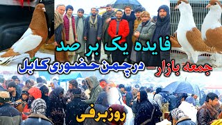 Download Lagu جمعه بازار چمن حضوری کابل - فایده یک بر صد || Expensive PIGEON of Bazar || Latest update 06-02-2026 MP3