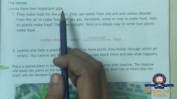 Class 3/ICSE/Science Revision Lesson 7 Parts of a plant/Session 25