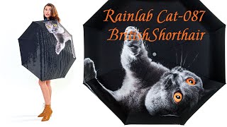 Зонтик Rainlab Cat 087 BritishShorthair