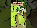 बैगन में अधिक फूल और फल चाहिए #farming #gardening #garden #homegardening #terracegardenindia #garden