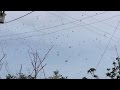 Le ciel nous est tombé sur la tête : La pluie d'araignée.