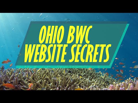 Secrets of the Ohio BWC Website for Injured Workers