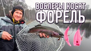 Воблеры косят форель! Ловля форели на платнике