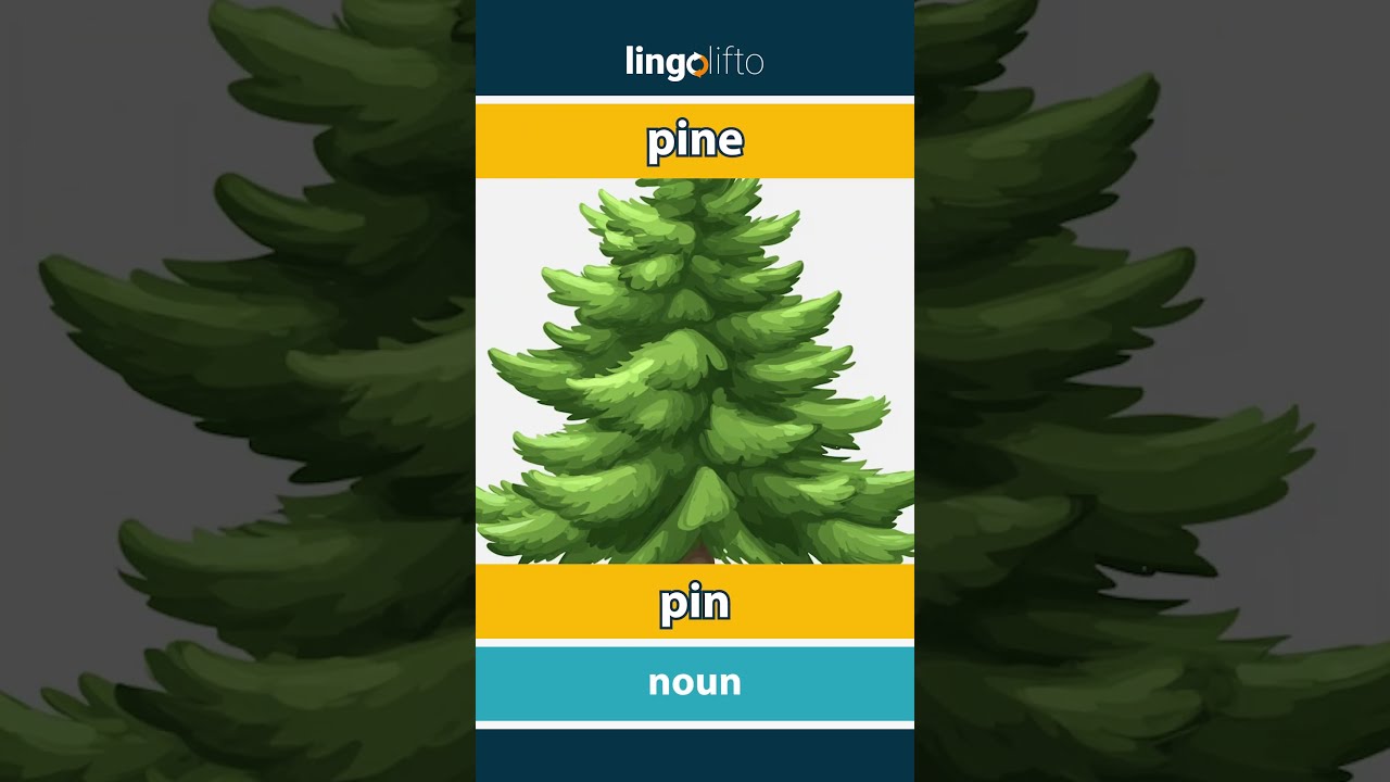  Pine Pin Learn English Apprenons L Anglais Vocabulary Builder