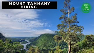 Details Mount Tammany Red Dot Trail- Hiking 2021 | Mount Tammany Summit Update