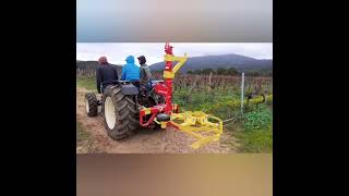 Le Travaille Dans Les Vignes