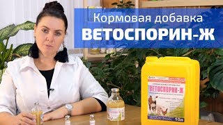 Пробиотик Ветоспорин-Ж - применение