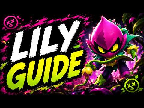 Lily video guide