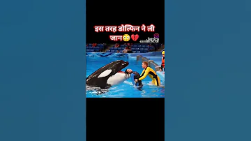 ड ल फ न न ल ज न Youtubeshorts 