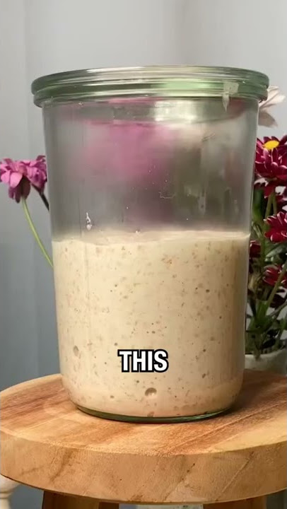Sourdough Starter