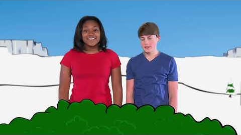 Comparing Warm and Cool Colors | ArtQuest | NPT