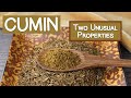Exploring the Versatile Uses and Benefits of Cumin Seeds