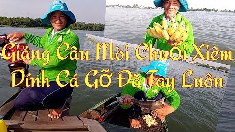 Giăng Câu Mòi Chuối Xiêm Dính Cá Gỡ Đã Tay Luôn / Sông Nước Miền Tây / Kiềm Rapper #11