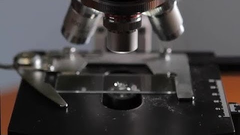 Close-Up Of A Microscope Stock Video