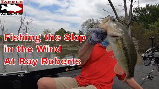 Ray Roberts and the Wind and more Wind