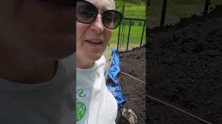happy day getting my compost into the garden @mariasvibe.com
