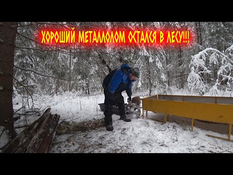 СБОР ЧЕРМЕТА ПО ЛЕСАМ!!!