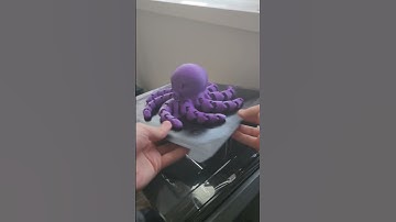 3D Printed Octopus Timelapse