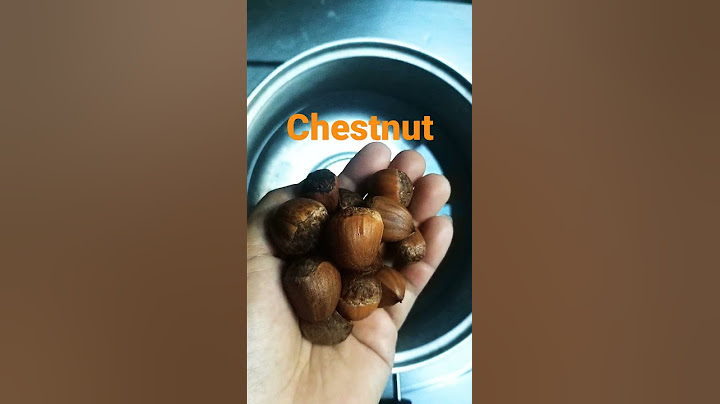 KACANG TERENAK 🌰 #shorts Chestnut / Kastanya / Buah Berangan