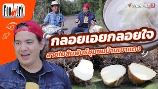 กลอยเอยกลอยใจ สายใยสัมพันธ์ชุมชนบ้านเขาแดง | Foodwork