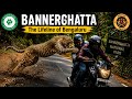 Bannerghatta National Park | Forest Fire | Wildlife | ಕಾಡ್ಗಿಚ್ಚು | Animals | Nat