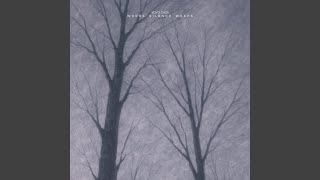 Where Silence Weeps