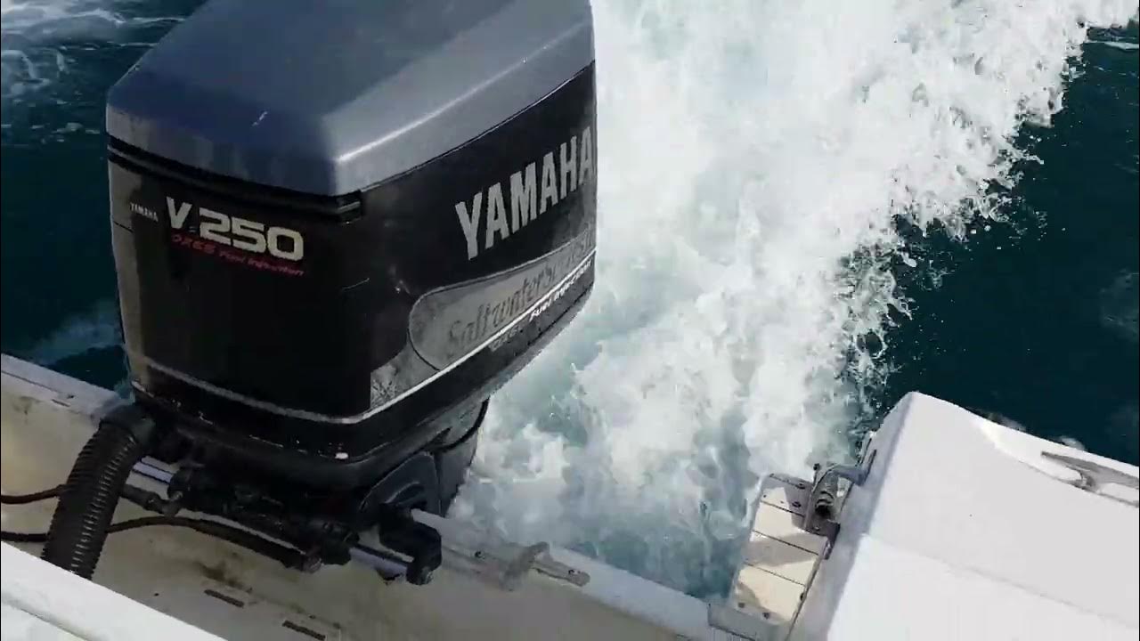 Yamaha V250 OX66 Fuel Injection Outboard Engine. Saltwater Series