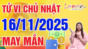 Tử Vi Hàng Ngày 16/11/2025 Chủ Nhật Chúc Mừng Con Giáp May Mắn Song Hành Tiền Tài Phất Mạnh