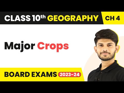 Major Crops - Agriculture | Class 10 Geography 2022-23