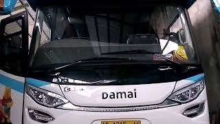 Telolet bus DAMAI 