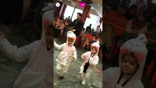 School Event Coverage by PMC Media | Performances & Activities