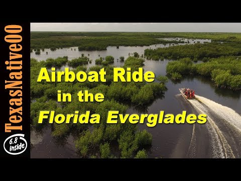 Airboat Ride in Florida